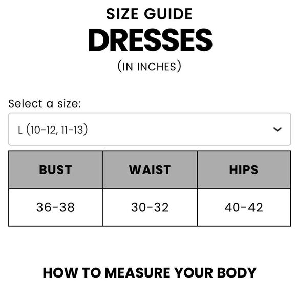 Mable Whimsical Blush Organza Babydoll Muse Chiffon Tulle Swiss Dot Skater Dress - Picture 7 of 13